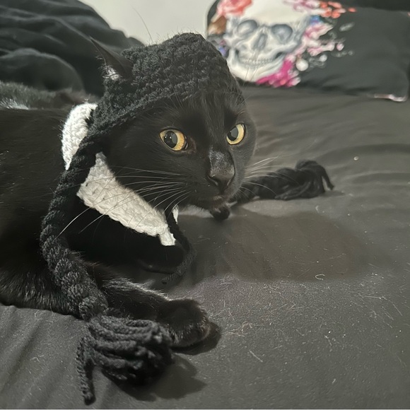 Meet your Posher, Miss K Marie - Picture 4 of 6